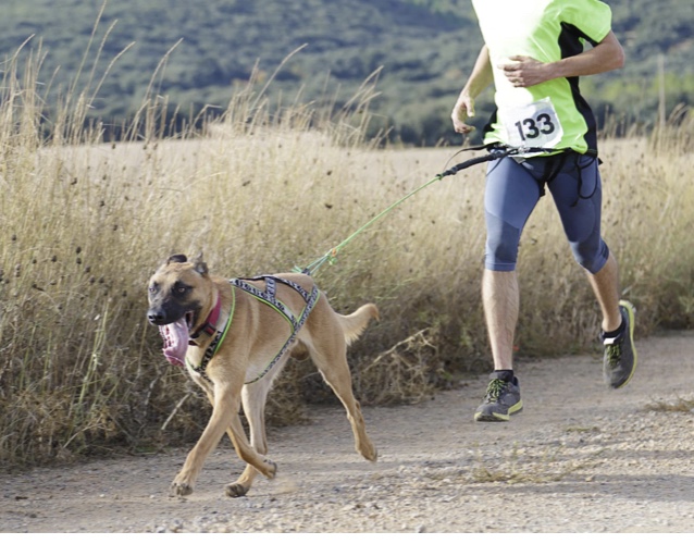 Cani-cross 4.5 & 9km