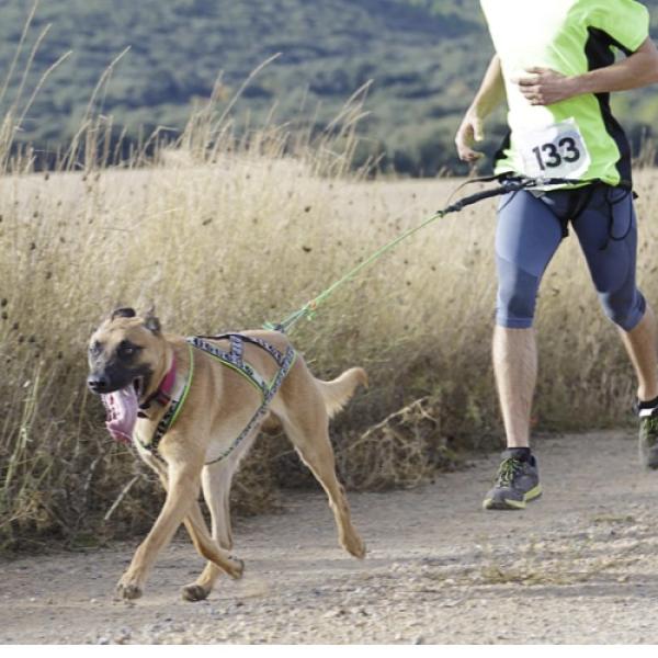 Cani-cross 4.5 & 9km